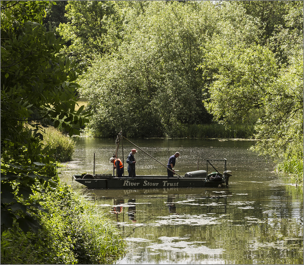 Clearing the weed - Jill Sullivan